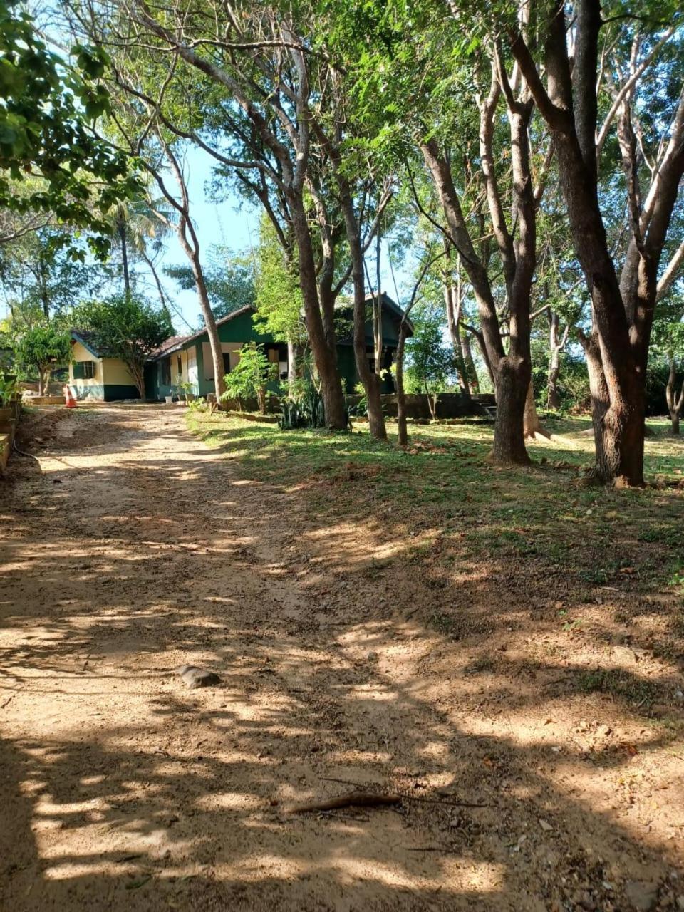 Udawalawe Wildlife & Nature Protection Bungalow Buitenkant foto