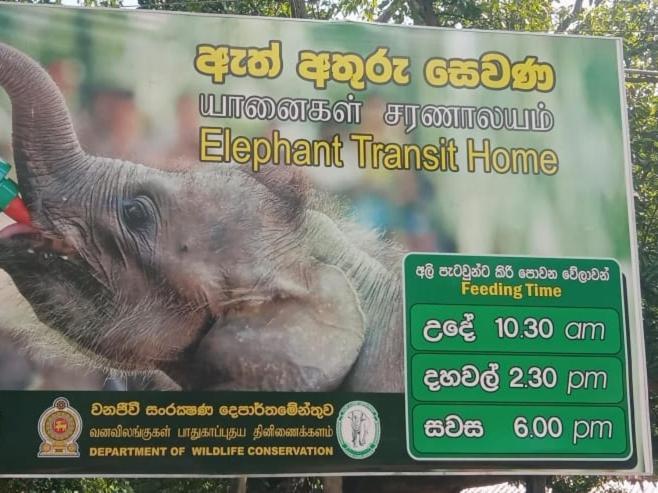 Udawalawe Wildlife & Nature Protection Bungalow Buitenkant foto