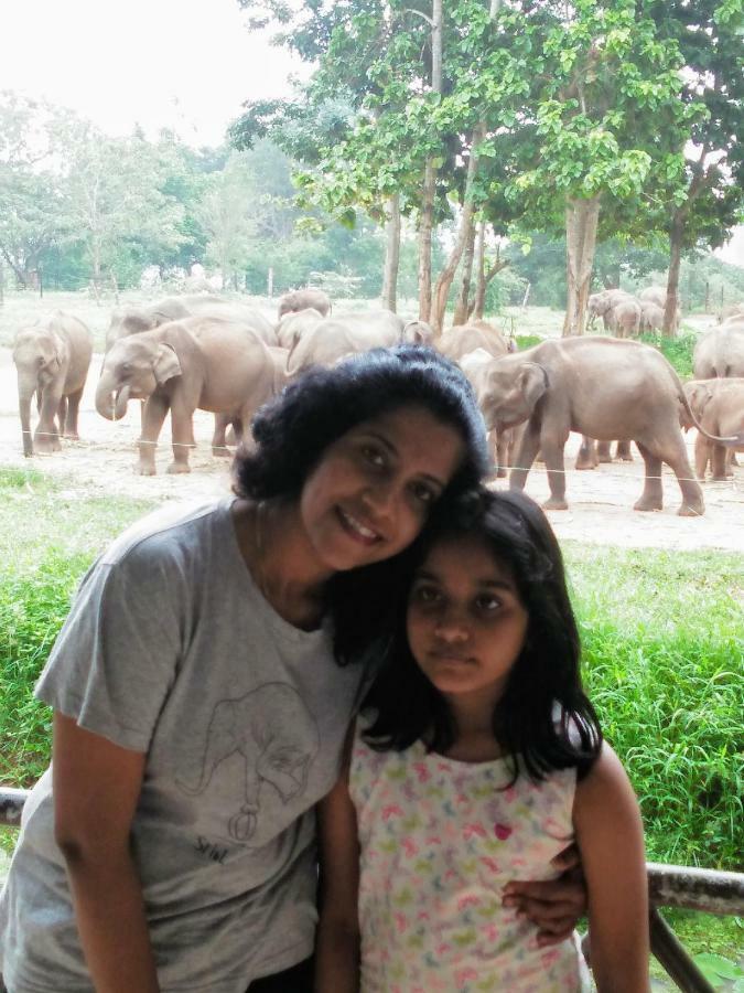 Udawalawe Wildlife & Nature Protection Bungalow Buitenkant foto